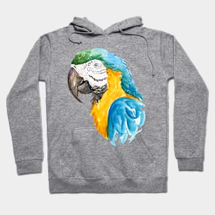 Blue and Gold Macaw Hoodie